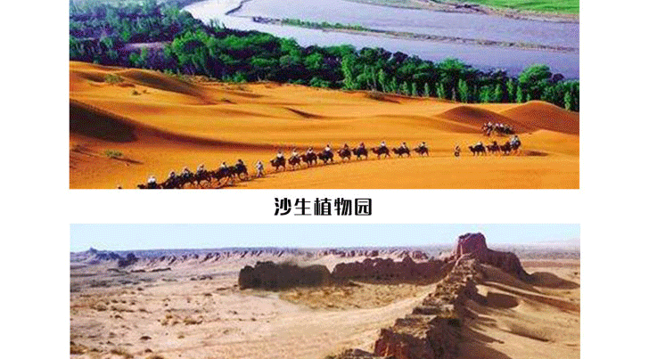 【飛行體驗(yàn)】敦煌月牙泉－動(dòng)力三角翼豪華游覽_副本_17.gif